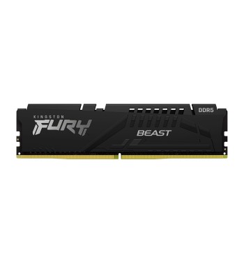 Fury Beast DDR5 1x16Go 4800MHz