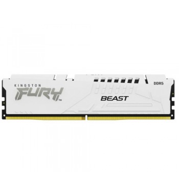 Fury Beast DDR5 2x32Go 6000MHz C36 White