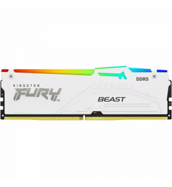 Fury Beast White RGB DDR5 2x32Go 6400MHz C32