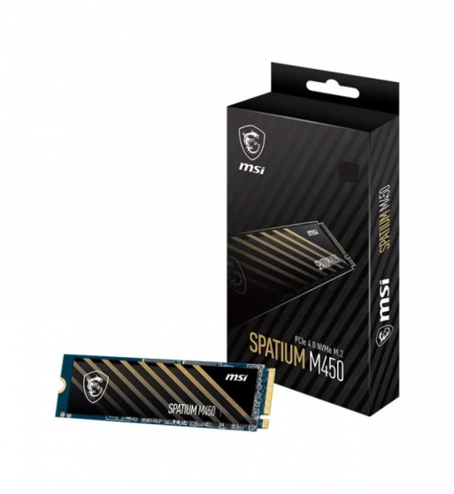 MSI Spatium M450 V1 1To