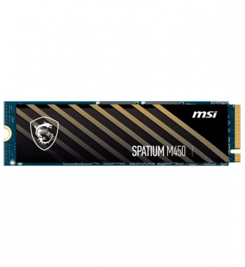 MSI Spatium M450 V1 1To