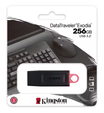 Data Traveler Exodia 256 GB