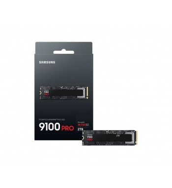 9100 Pro 2To