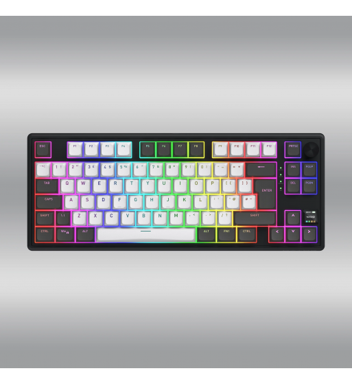 Skyfall 80 Pro Wireless