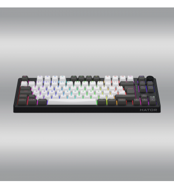 Skyfall 80 Pro Wireless