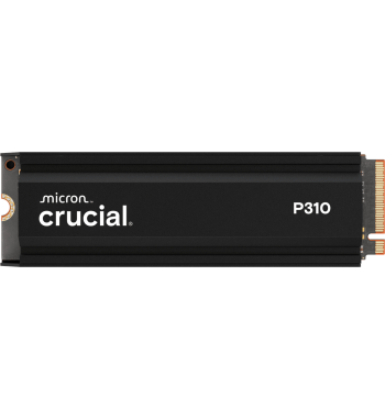 P310 1To (avec dissipateur)